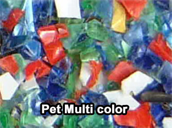 pet-multicolor-ok-S2S